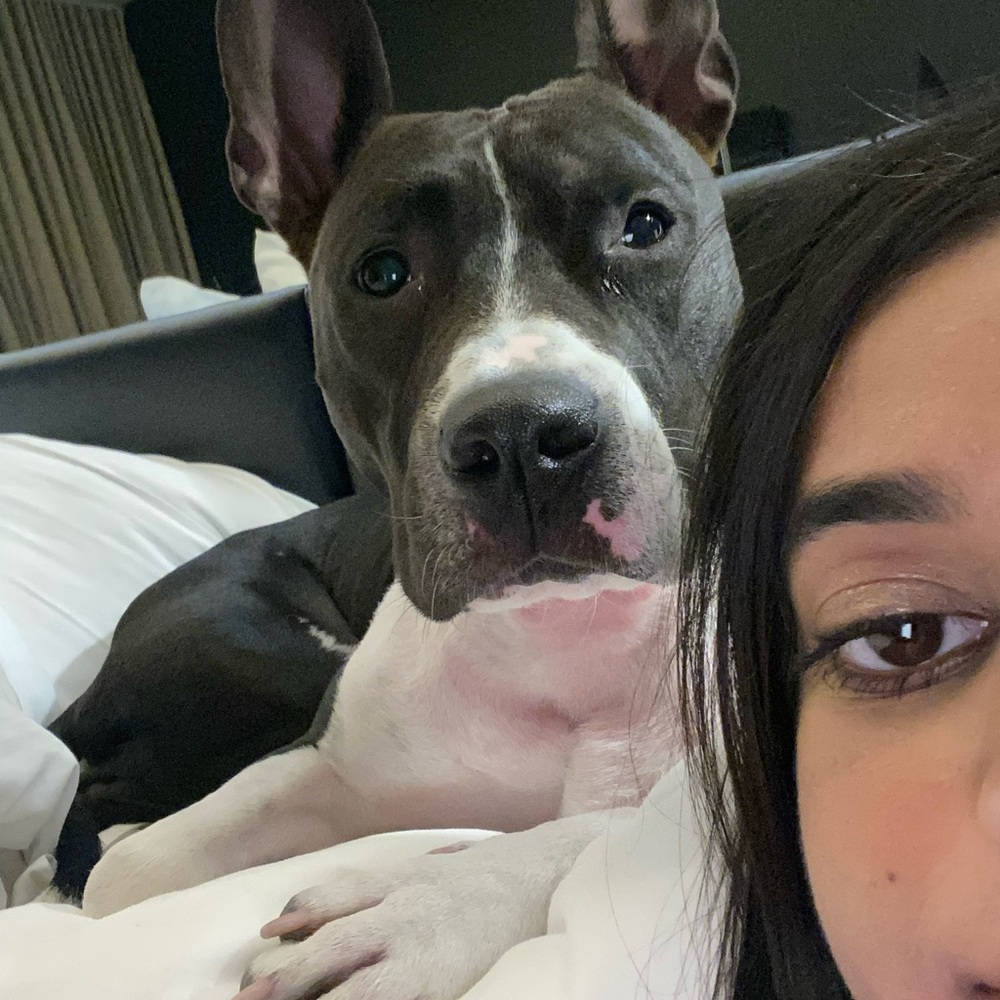 Meet your Posher, Sonya